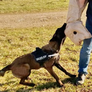 Рукав из джута для дрессировки бельгийской овчарки «Police dog»